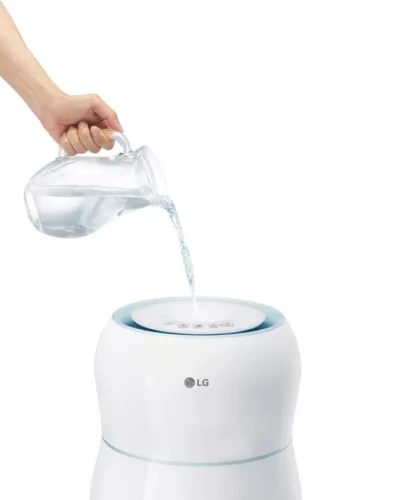 Мойка воздуха LG HW306LME0 Mini On